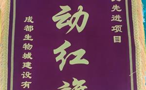 熱烈祝賀人才公寓項目獲得質量、安全雙“流動紅旗”